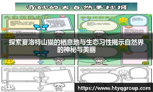 天博tb手机下载